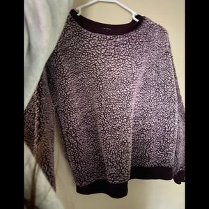 Poof New York, Small, Purple, and gray